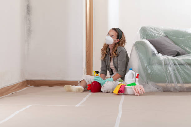 Reliable Commercial Mold Remediation contractor in Excelsior, MN by WQB Mold Removal
